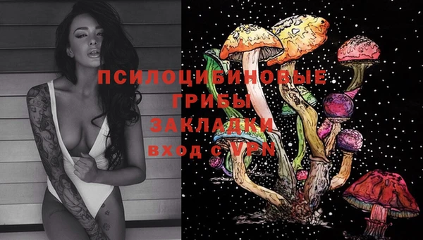 ГАЛЛЮЦИНОГЕННЫЕ ГРИБЫ Сосновый Бор