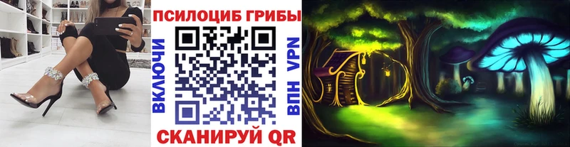Псилоцибиновые грибы Magic Shrooms  что такое   Дагестанские Огни 